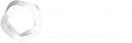 Logo da Bwild